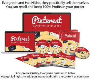 DOWNLOAD NOW Pinterest Marketing Excellence PLR FULL Access