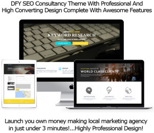 Instant Download SEO Agency WP Theme FULL License By Robert Phillips